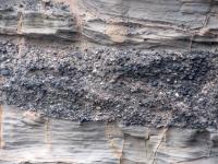 Albums/20060200-New Zealand 2006/20060313-Catlins/13